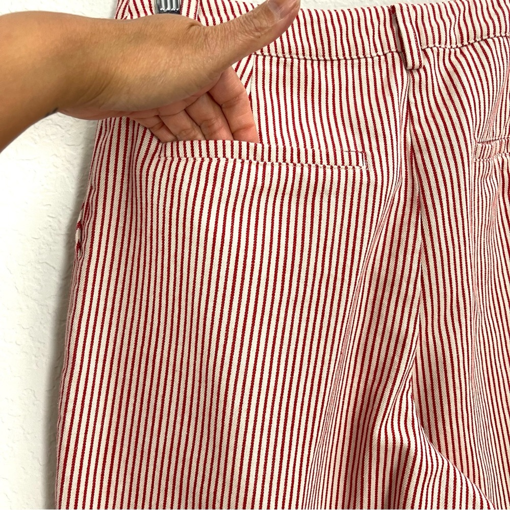 Saint Geraldine Marshall Pinstripe Crop Wide Leg Pants Size S - Picture 9 of 14